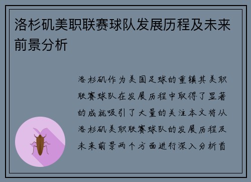 洛杉矶美职联赛球队发展历程及未来前景分析